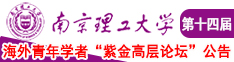 抽插大鸡巴的视频南京理工大学第十四届海外青年学者紫金论坛诚邀海内外英才！